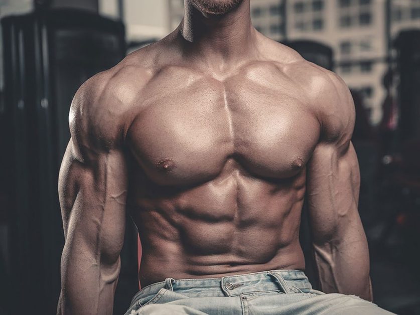 Chest Exercises